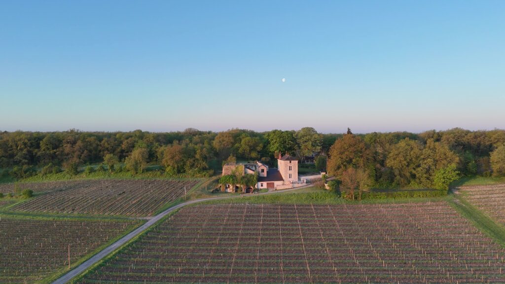 Vue du Domaine des fours à chaux depuis les vignes à Saumur