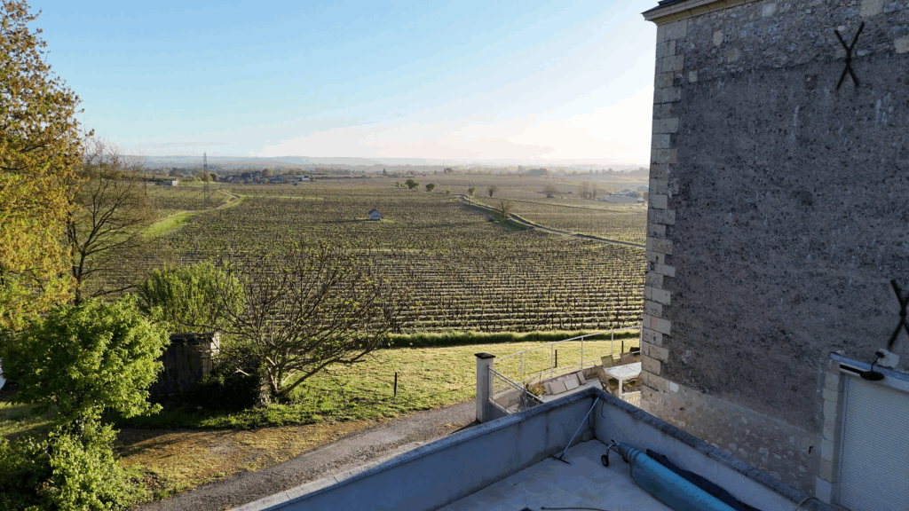 Vue des vignes depuis le jardin Domaine des fours à chaux à Saumur